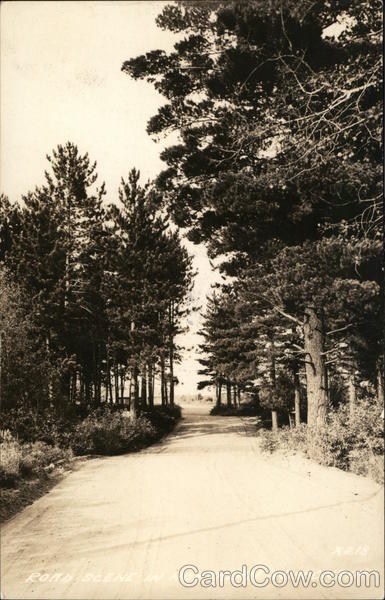 Road Scene, Northern Wisconsin Sayner