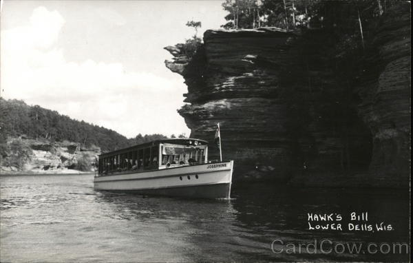 Hawks Bill Lower Dells Wisconsin