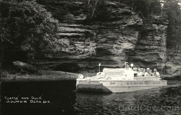 Turtle and Duck Wisconsin Dells