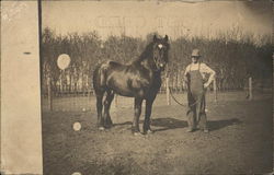 Farmer and Horse Minnesota Postcard Postcard Postcard