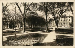 Harvard College Yard Cambridge, MA Postcard Postcard Postcard