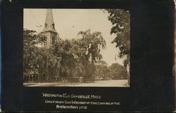 Washington Elm Postcard