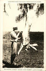 Skinning a West Texas Jack Rabbit Exaggeration Postcard Postcard Postcard