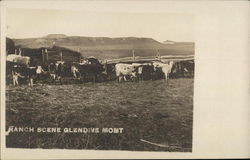 Ranch Scene Glendive, MT Postcard Postcard Postcard