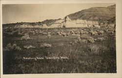 Ranching Near Glendiva Glendive, MT Postcard Postcard Postcard