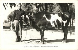 Dolly Postcard