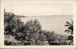 Fishing Boats Postcard