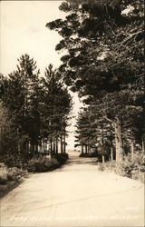 Road Scene, Northern Wisconsin Postcard