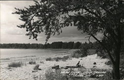Shore Scene from Crystal Lake Camp Sire Postcard