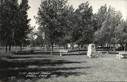 City Picnic Park Postcard