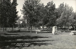 City Picnic Park Shell Lake, WI Postcard Postcard Postcard