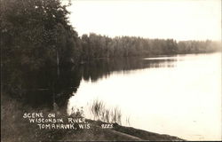 Scene on Wisconsin River Postcard