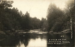 A View on the Deerskin River Three Lakes, WI Postcard Postcard Postcard