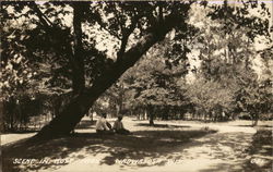 Scene in Hoyt Park Wauwatosa, WI Postcard Postcard Postcard