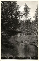 10 Mile Creek Plainfield, WI Postcard Postcard Postcard