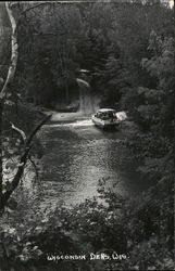 Duck Boat on Water Postcard