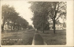 Elm Street Almond, WI Postcard Postcard Postcard