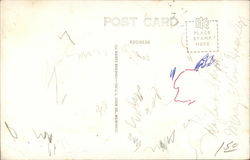 back