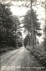 Pines on Wise Blvd. Postcard