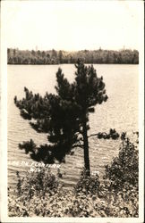 View of Lake Postcard