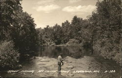 Trout Fishing, McCaslin Brook Trout Fishing, McCaslin Brook