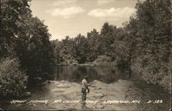 Trout Fishing, McCaslin Brook Lakewood, WI Postcard Postcard Postcard