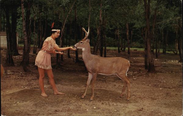 Wisconsin Deer Park Wisconsin Dells John A. Trumble
