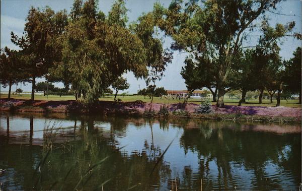 Golfing in Alameda California