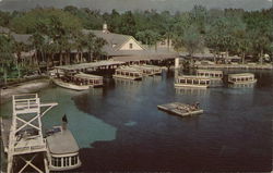 World-Famous Silver Springs Postcard