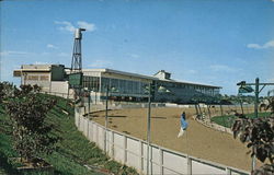 Shenandoah Downs Postcard