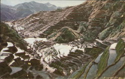 Ifugao Rice Terraces Postcard