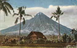 Mayon Volcano Postcard