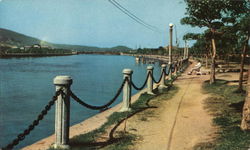 Ai River Postcard