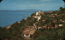View of Town Postcard