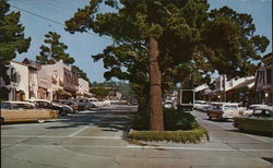 Ocean Ave. Postcard