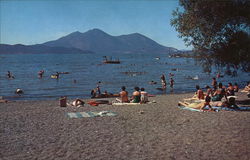 View of Beach and Lake Postcard