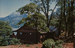 Lake Shasta Caverns Headquarter Chalet Postcard