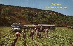 The Valley of Green Gold, Salinas Valley California Postcard Postcard Postcard