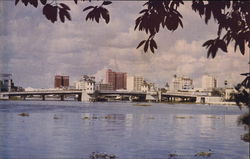 Hillsborough River and Skyline Tampa, FL Postcard Postcard Postcard