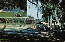 Cactus Motel Tallahassee, FL Postcard Postcard Postcard