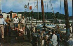 Fishermen Unloading Catch Panama City, FL Postcard Postcard Postcard