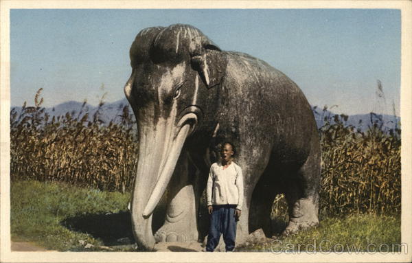One of the Stone Animals of the Ming Tombs Peking China