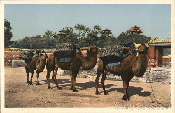 Coal Hill, Peking Beijing China