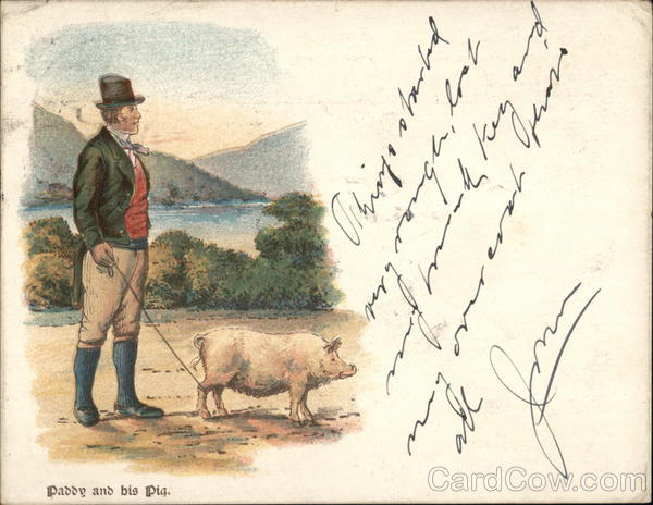 Paddy and his Pig Ireland