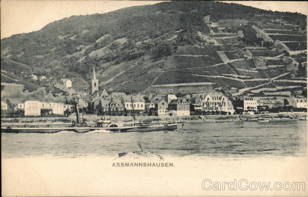 View of Town and Rhine RIver Assmannshausen Germany