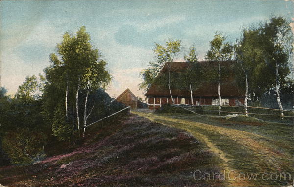 Luneburg Heath Germany