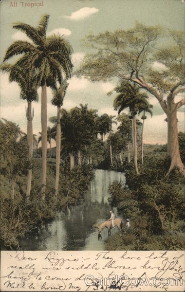 All Tropical Cuba