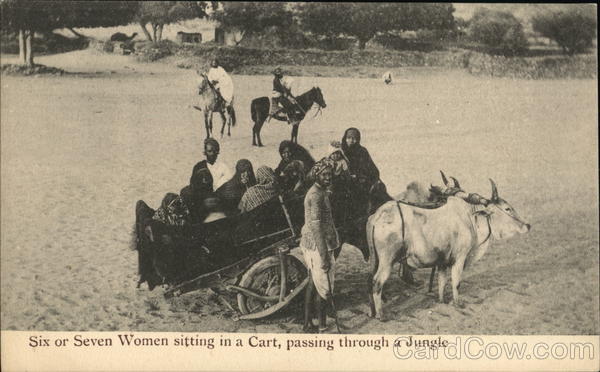 Six or Seven Women sitting in a cart, passing through a Jungle India