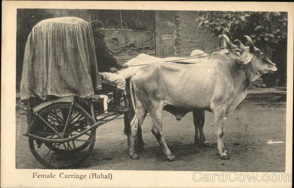 Female Carriage (Bahal) India