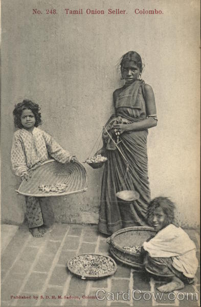 Tamil Onion Seller Colombo Sri Lanka Southeast Asia